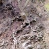 2007.04.01. - Samothraki